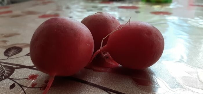 Редис полезен для здоровья, но может и навредить